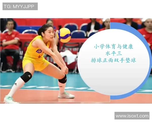 杨磊独家分享排球心得与技巧助你提升竞技水平与团队配合能力